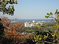 View of lower city from Upper King's Forest Park