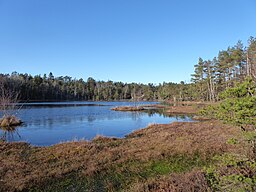 Vägetjärnen den 9 mars 2024