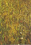 Van Gogh - Weizenhalme.jpeg