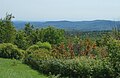 Overlook near Marlboro