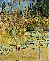 Vincent van Gogh - Apricot Trees in Blossom (1888, Johannesburg).jpg