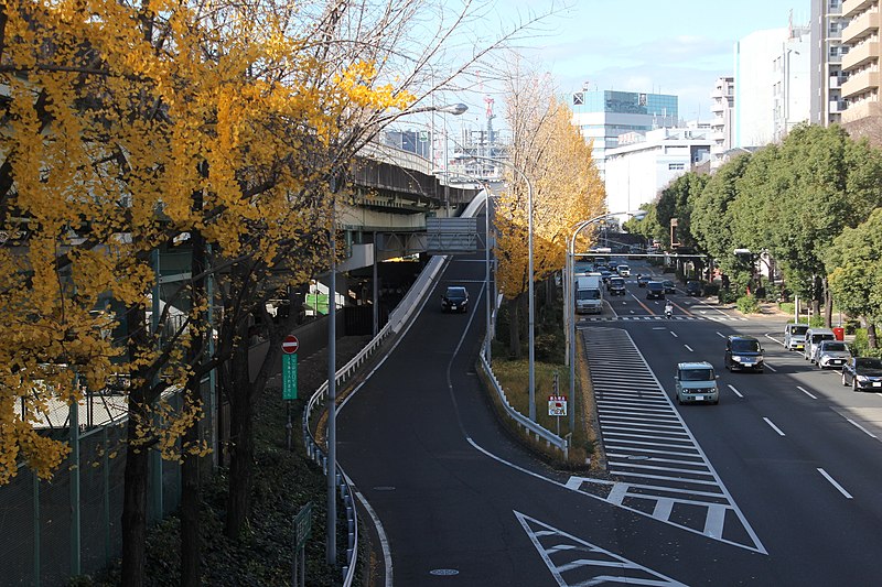 File:Wakamiya Odori 20161009A.jpg