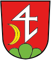 Familienwappen Hüppin Wangen