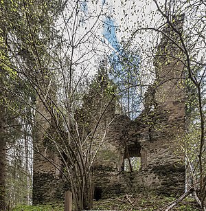 Wullross castle ruins