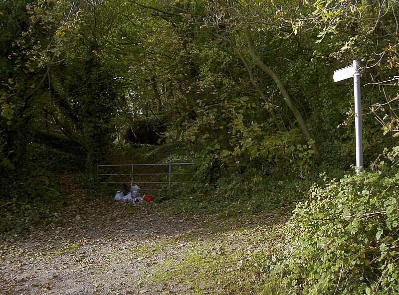 File:Where there'a path, there's rubbish - geograph.org.uk - 5952888.jpg