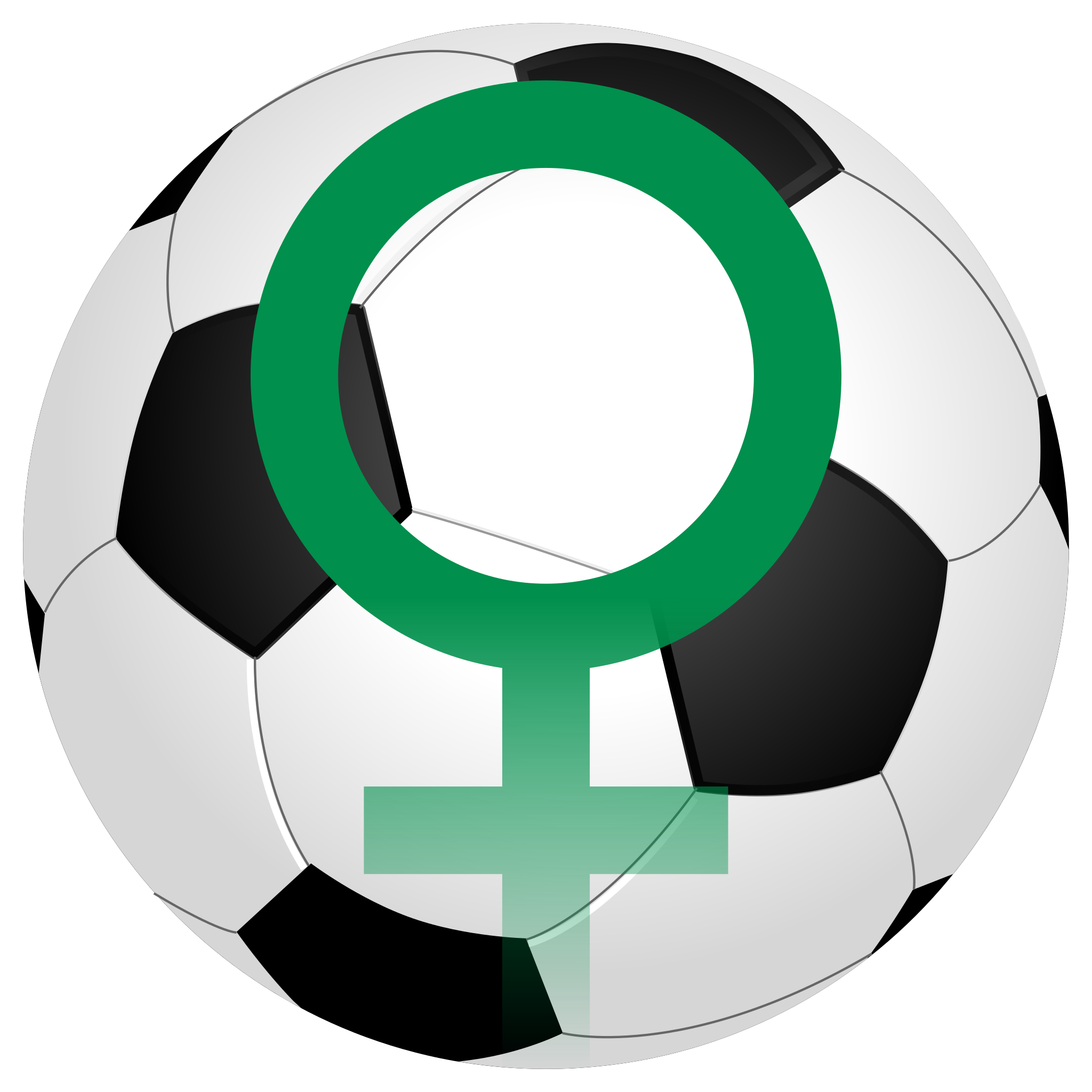 Copa Libertadores Femenina - Wikipedia