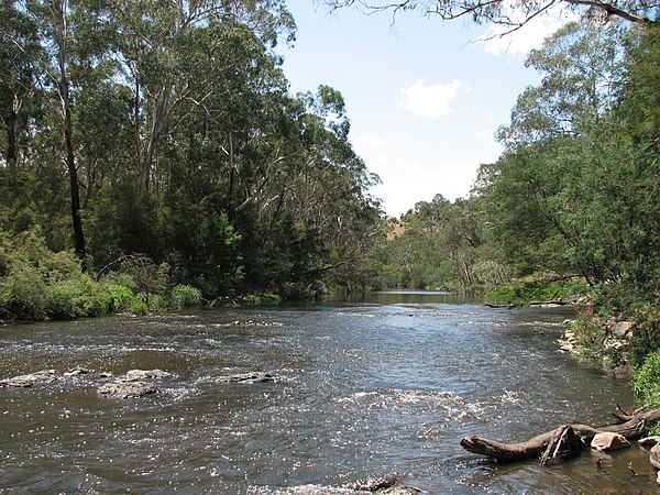 Yarra River, Wonga Park