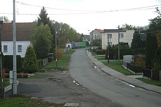 <span class="mw-page-title-main">Gmina Polska Cerekiew</span> Gmina in Opole Voivodeship, Poland