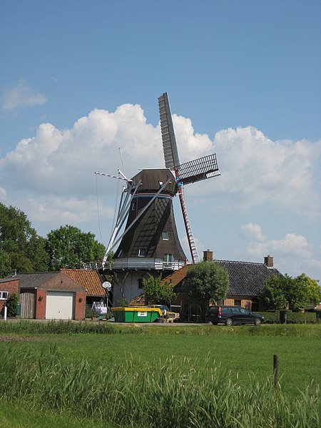 File:Zeldenrust-Westerwijtwerd.jpg