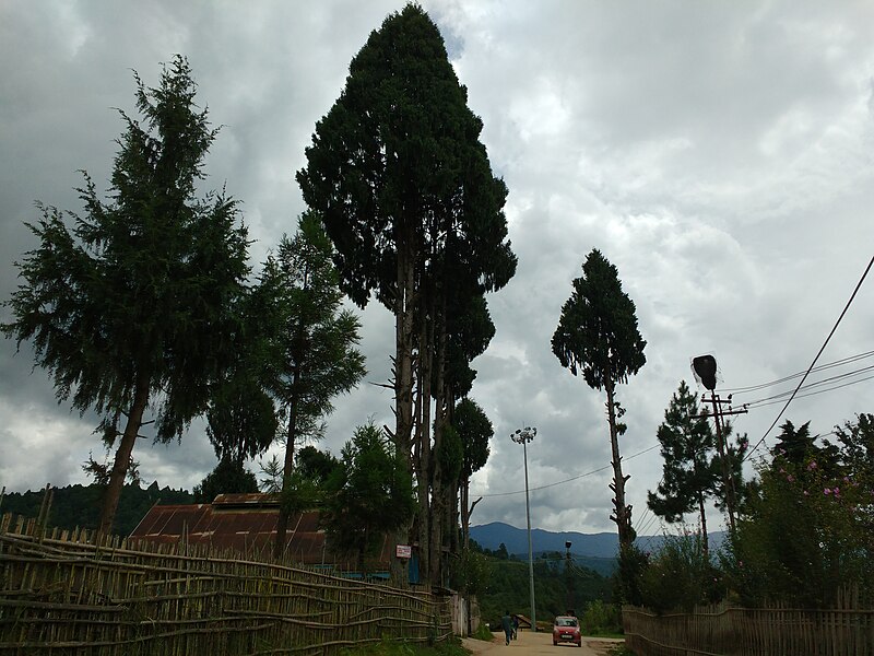 File:Ziro Nature.jpg