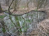 Künstlicher Teich am Zschonerbach kurz nach der Quelle