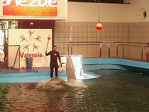 Aquarium de Valencia (Venezuela)