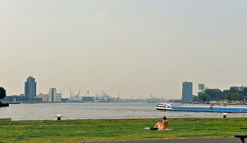 File:'Beach Girl' Kop van Zuid Rotterdam (7704649168).jpg