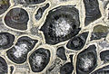 'Pebbles' in a Molten Sea (4295119062).jpg