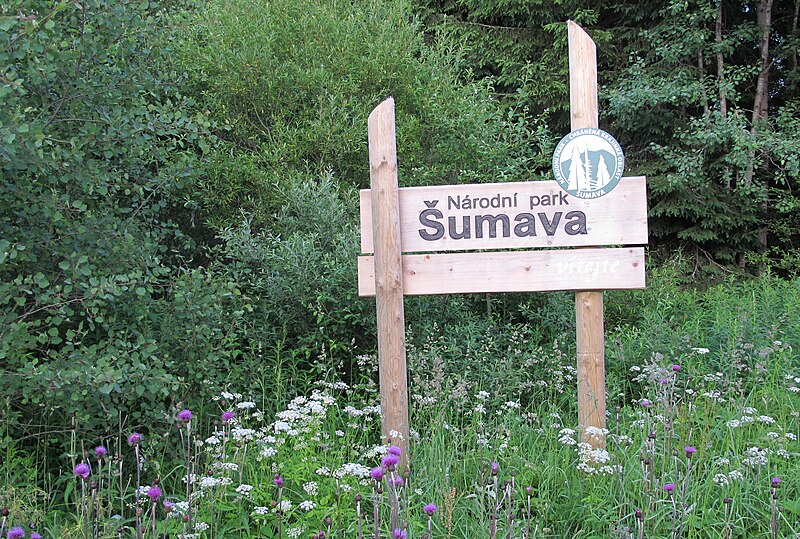 File:Šumava national park (1).jpg