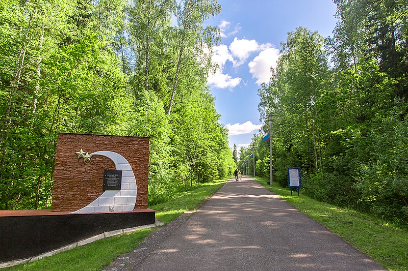 File:Аллея мемориального комплекса на месте гибели Гагарина Ю.А. и Серегина В.С.jpg