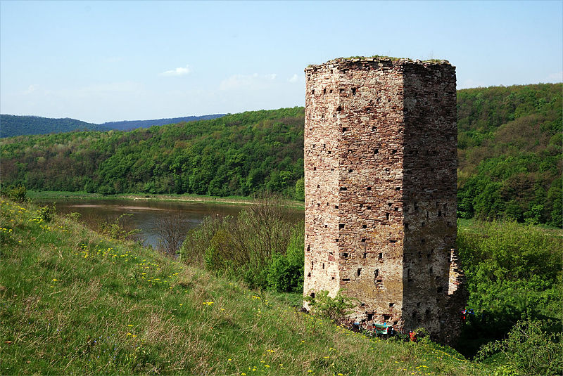 File:Руїни замку в с. Раковець.jpg