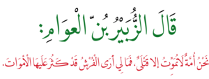 الزبير بن العوام: بداية حياته, إسلامه, الزبير في العهد النبوي