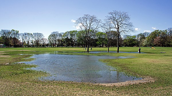 Koganei Park