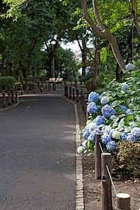 新田川緑道