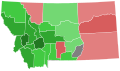 1896 Montana Gubernatorial Election by County