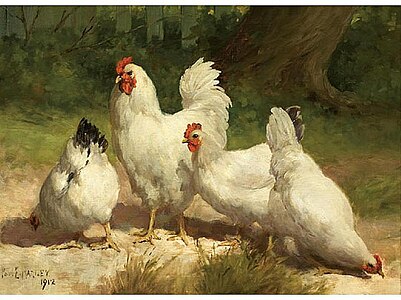 1912-Chickens-Paul.E.Harney.Jr.jpg