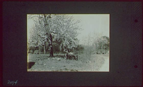 File:1917-1918, reference prints from negatives. LOC gsc.5a00250.tif