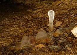 Glace: Le minéral glace, La roche glace, Physique de la glace dans lUnivers et sur Terre