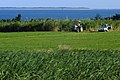 2017年6月28日 (水) 13:51時点における版のサムネイル