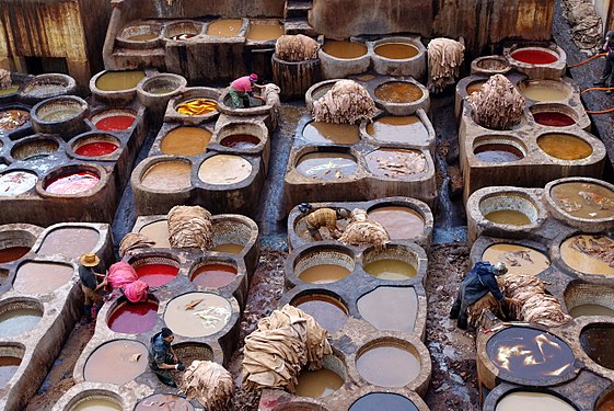 Tannery workers in Morocco, in their tough task of dyeing the skins that will turn into beautiful pieces of leather. The environment is unhealthy and the smell unbearable.