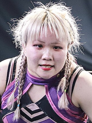 <span class="mw-page-title-main">Riko Kaiju</span> Japanese professional wrestler