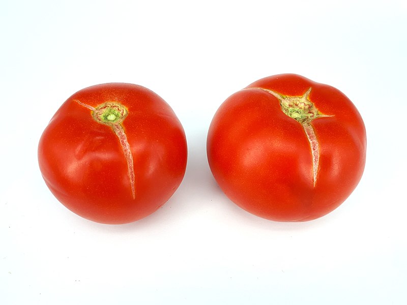 File:2 x Cracked tomato 2017 A.jpg