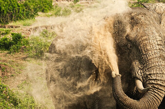 A Dust Shower Photograph: Vanmulondo