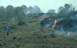 Mauna Loa