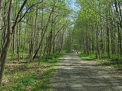 Accotink Trail Eakin Masyarakat Park.jpg