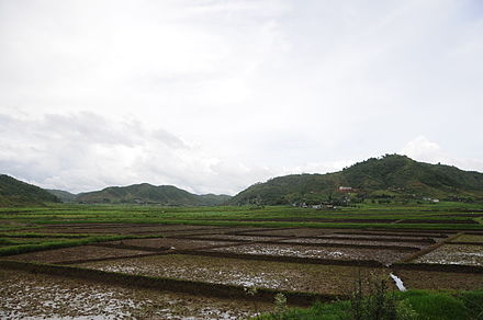 Agriculture in Kukon, Meghalaya