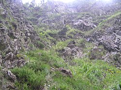 Stanoviště typu Agrostion alpinae, Čertova zahrádka