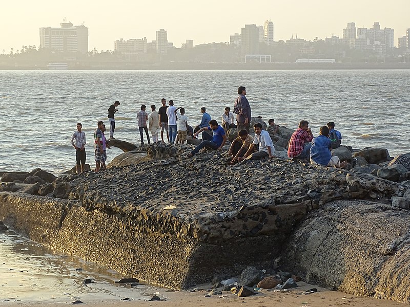 File:Along the Seafront - Mahim (West) District - Mumbai - Maharashtra - 03 (26098789750).jpg