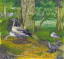 Painting of geese and ducks in a green landscape