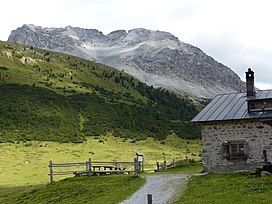 Alp Astras Piz Murtera.jpg