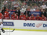 Red Wings bench