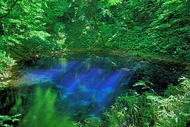 十二湖の1つである青池