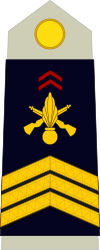 Chief Sergeant (top : Infantry, bottom : chasseurs alpins)