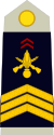 Армия-FRA-OR-06.svg