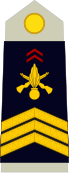 insignia with three chevrons