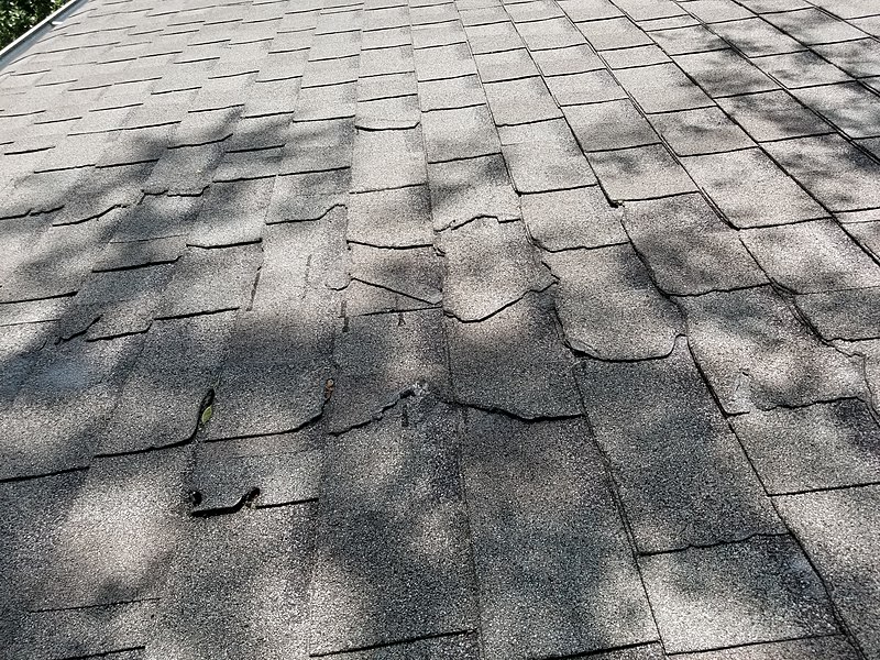 File:Asphalt shingles damage.jpg