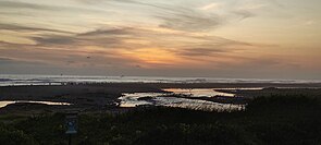 Colores cálidos al atardecer, río y vegetación