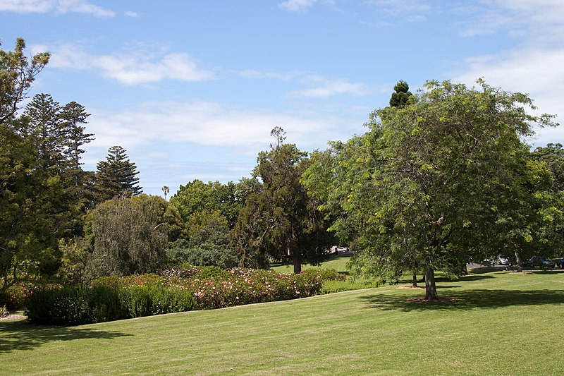 File:Auckland Domain, detail 2016-01-21-4.jpg