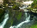 Jericho Brook waterfall flowing over dam into pool.