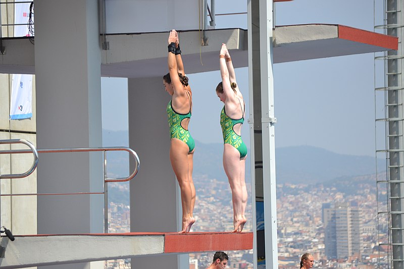 File:BCN2013 Diving DSC 0210 (11098451394).jpg